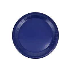 Meijer Navy Blue Lunch Plates