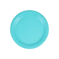 Meijer Turquoise Lunch Plates