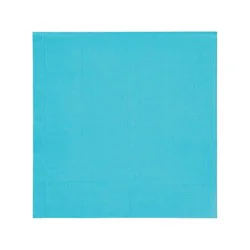 Meijer Turquoise Lunch Napkins