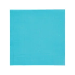 Meijer Turquoise Lunch Napkins