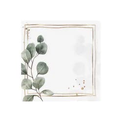 Meijer Botanical Beverage Napkin 24ct