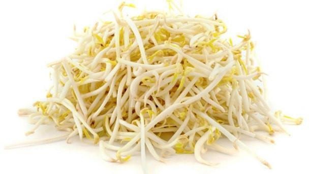 slide 1 of 1, Bean Sprouts, 8 oz