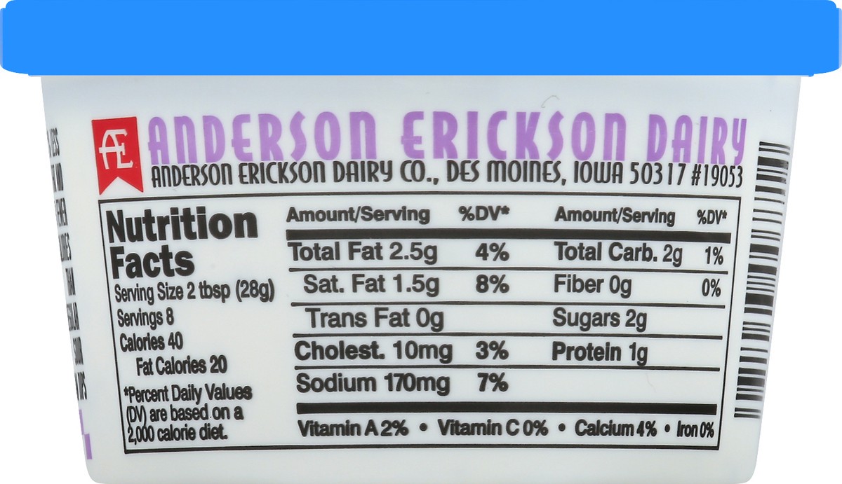 slide 7 of 8, Anderson Erickson Dairy Ae Lite French Onion Sour Cream Dip, 8 oz