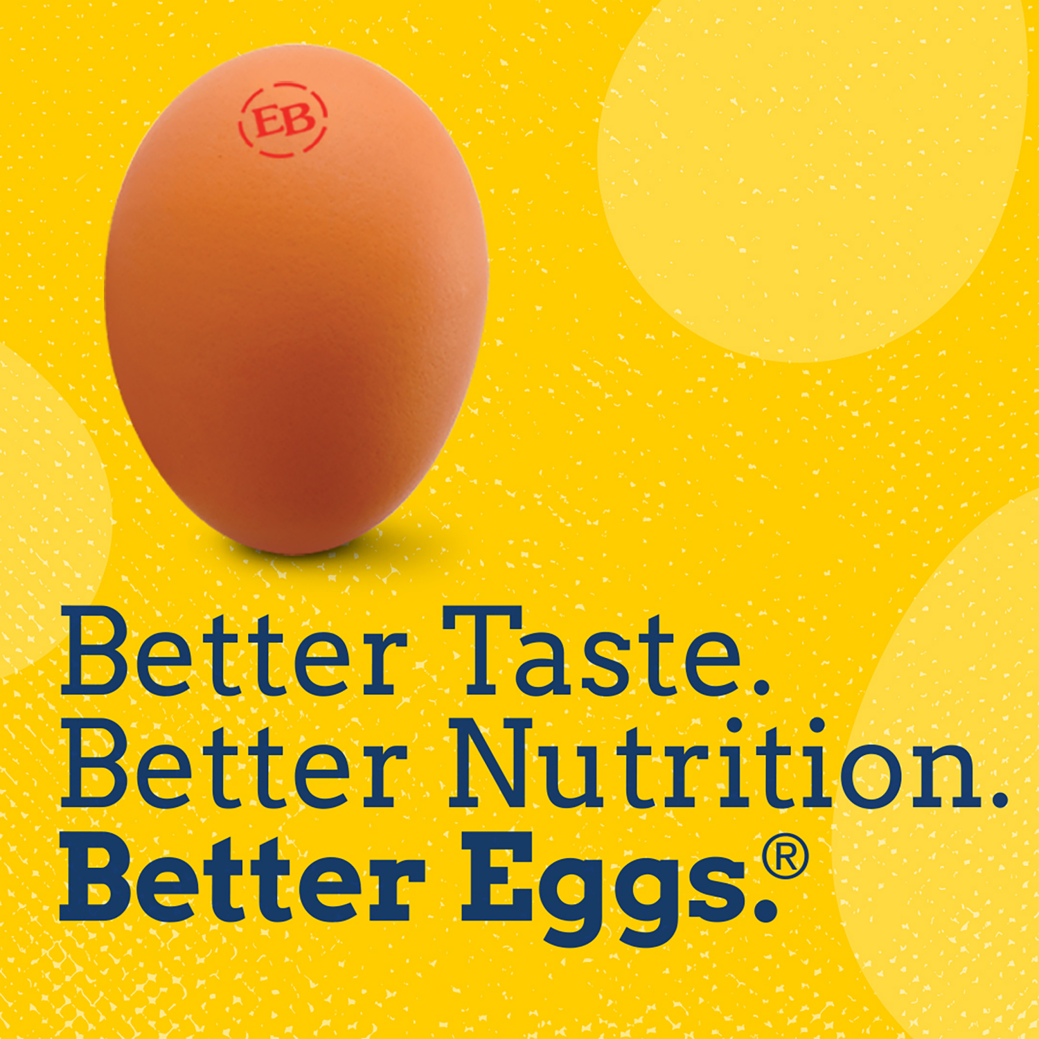 slide 2 of 8, Eggland's Best Cage Free Large Brown Eggs, 12 count, 12 ct