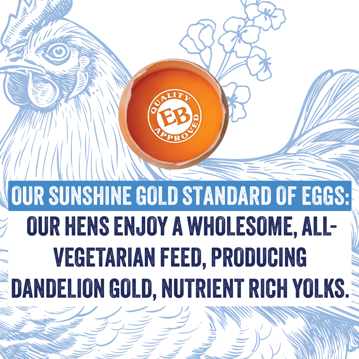 slide 4 of 8, Eggland's Best Free Range Large Brown Eggs, 12 count, 12 ct