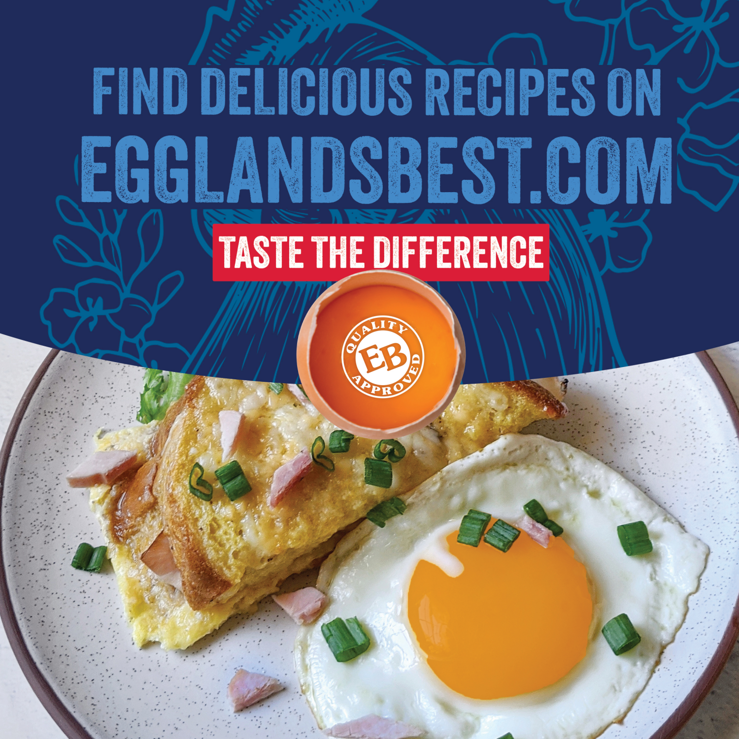 slide 5 of 8, Eggland's Best Free Range Large Brown Eggs, 12 count, 12 ct