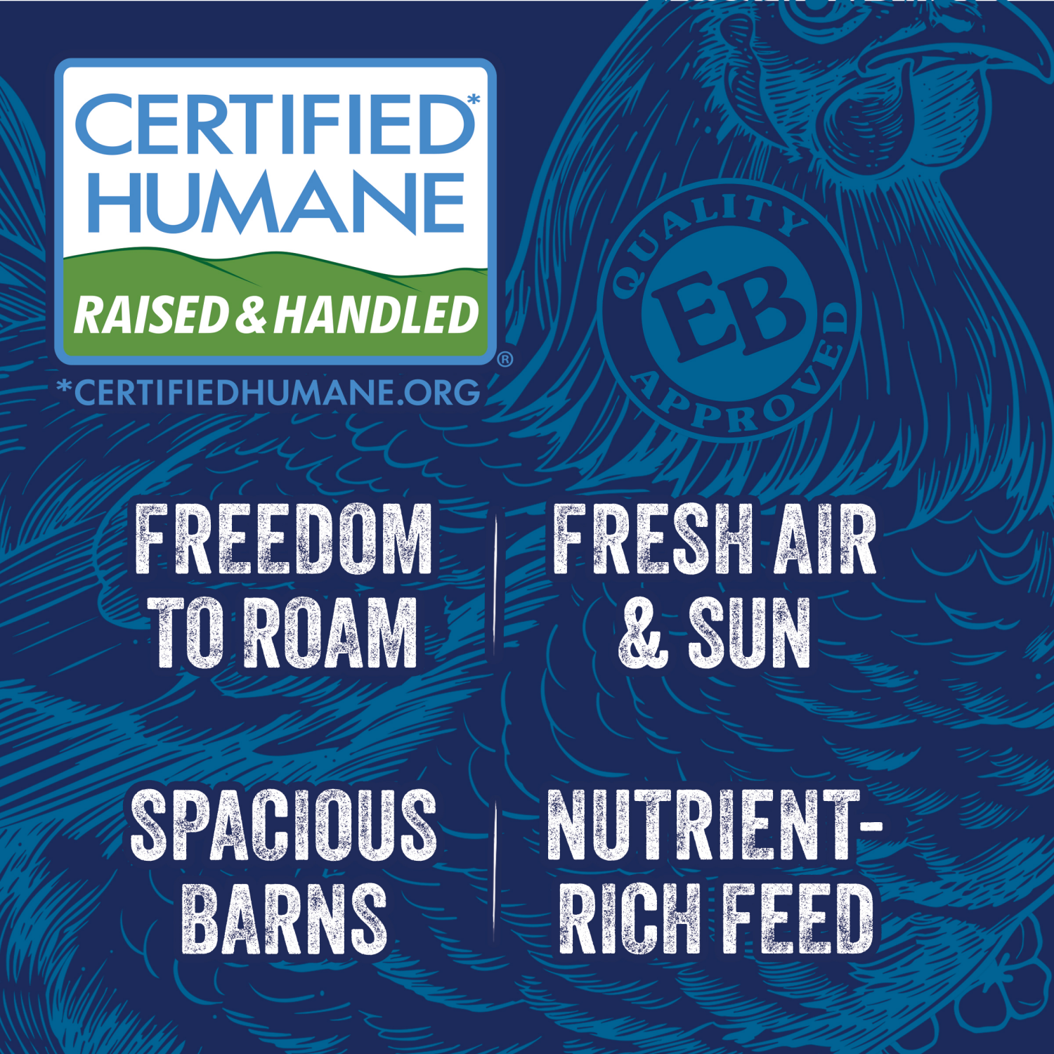 slide 7 of 8, Eggland's Best Free Range Large Brown Eggs, 12 count, 12 ct