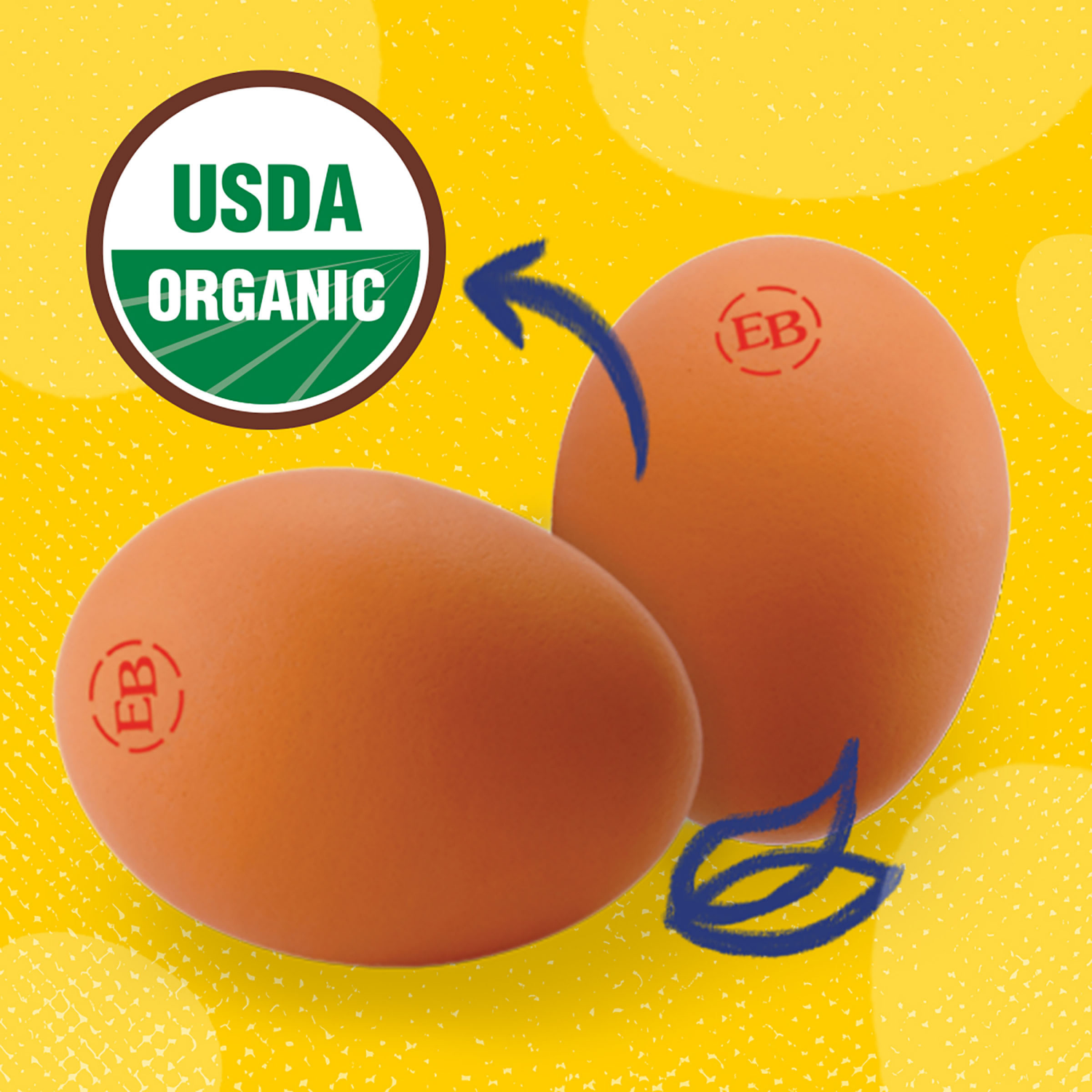 slide 7 of 8, Eggland's Best 100% USDA Organic Certified Large Brown Eggs, 12 count, 12 ct