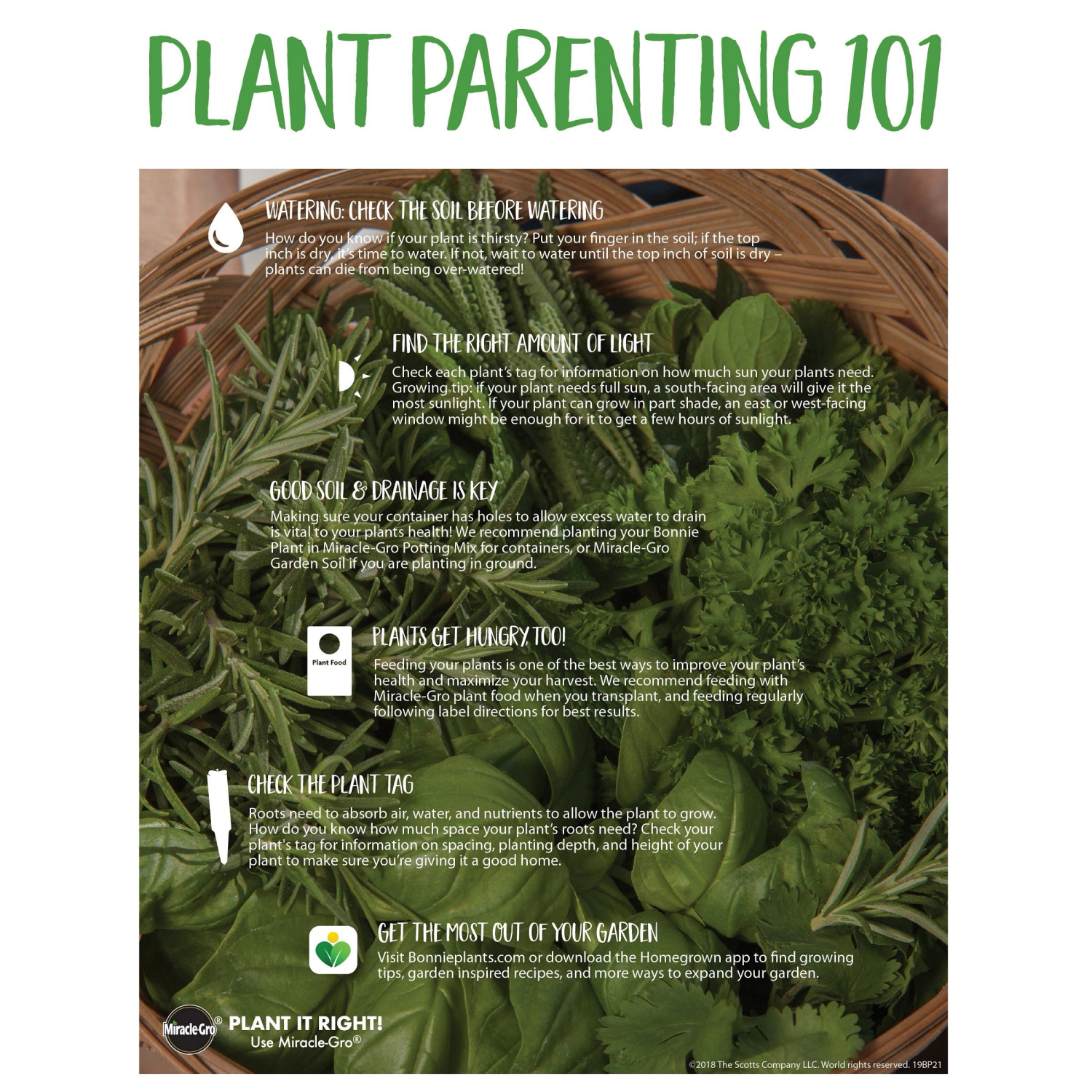 slide 4 of 4, Tomato-Bush Goliath, 1 ct