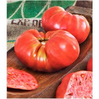 slide 2 of 5, Bonnie Plants  Tomato Beefmaster, 19.3 oz