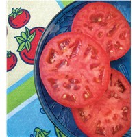 slide 3 of 5, Bonnie Plants  Tomato Beefsteak Red, 19.3 oz