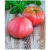 slide 5 of 5, Bonnie Plants Tomato - Pink Brandywine, 19.3 oz