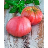 slide 3 of 5, Bonnie Plants Tomato - Pink Brandywine, 19.3 oz