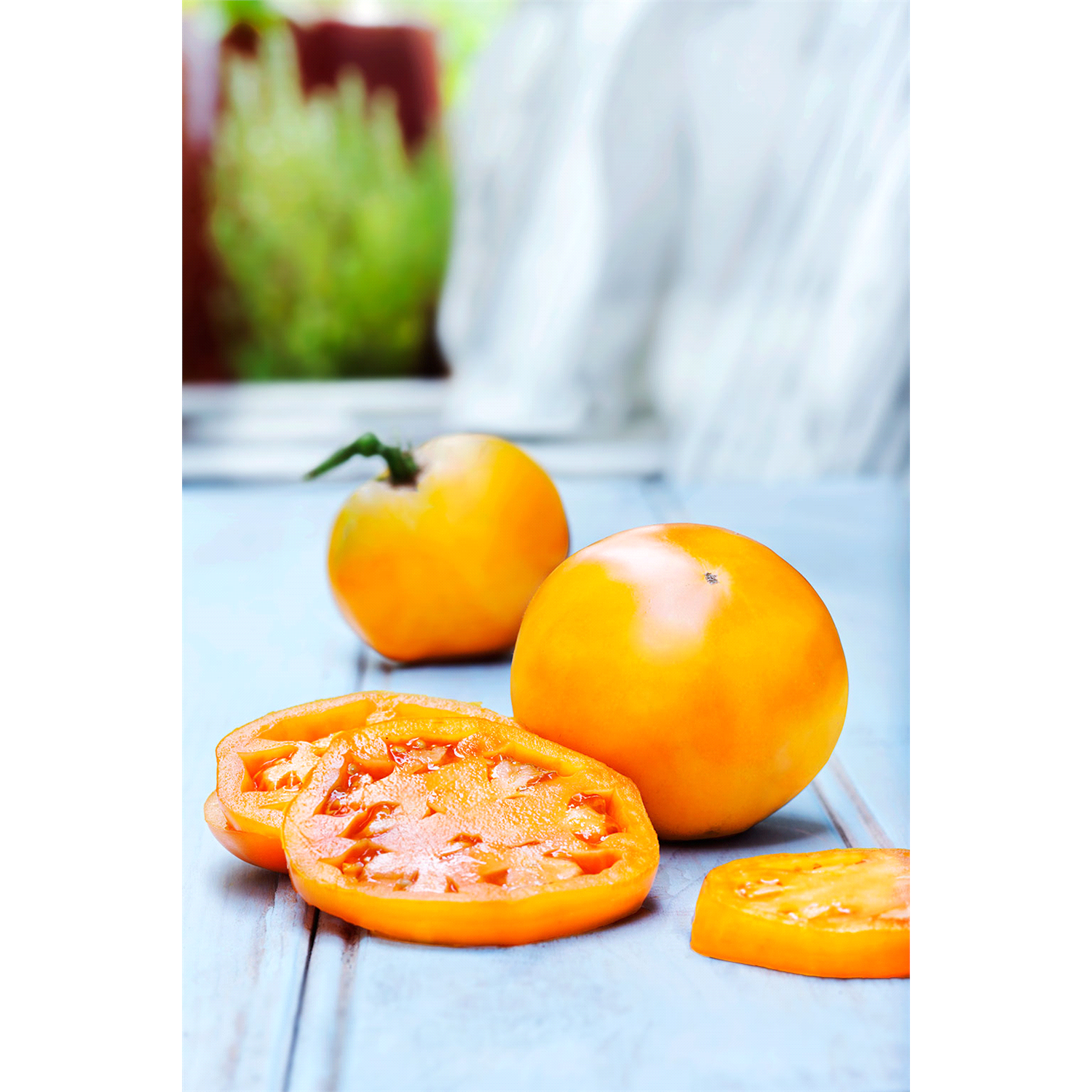 slide 2 of 2, Bonnie Plants  Tomato Golden Jubilee, 19.3 oz