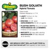 slide 6 of 9, Bonnie Plants  Tomato Bush Goliath, 19.3 oz