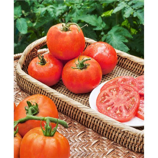 slide 2 of 5, Bonnie Plants Tomato - Super Fanatastic, 19.3 oz