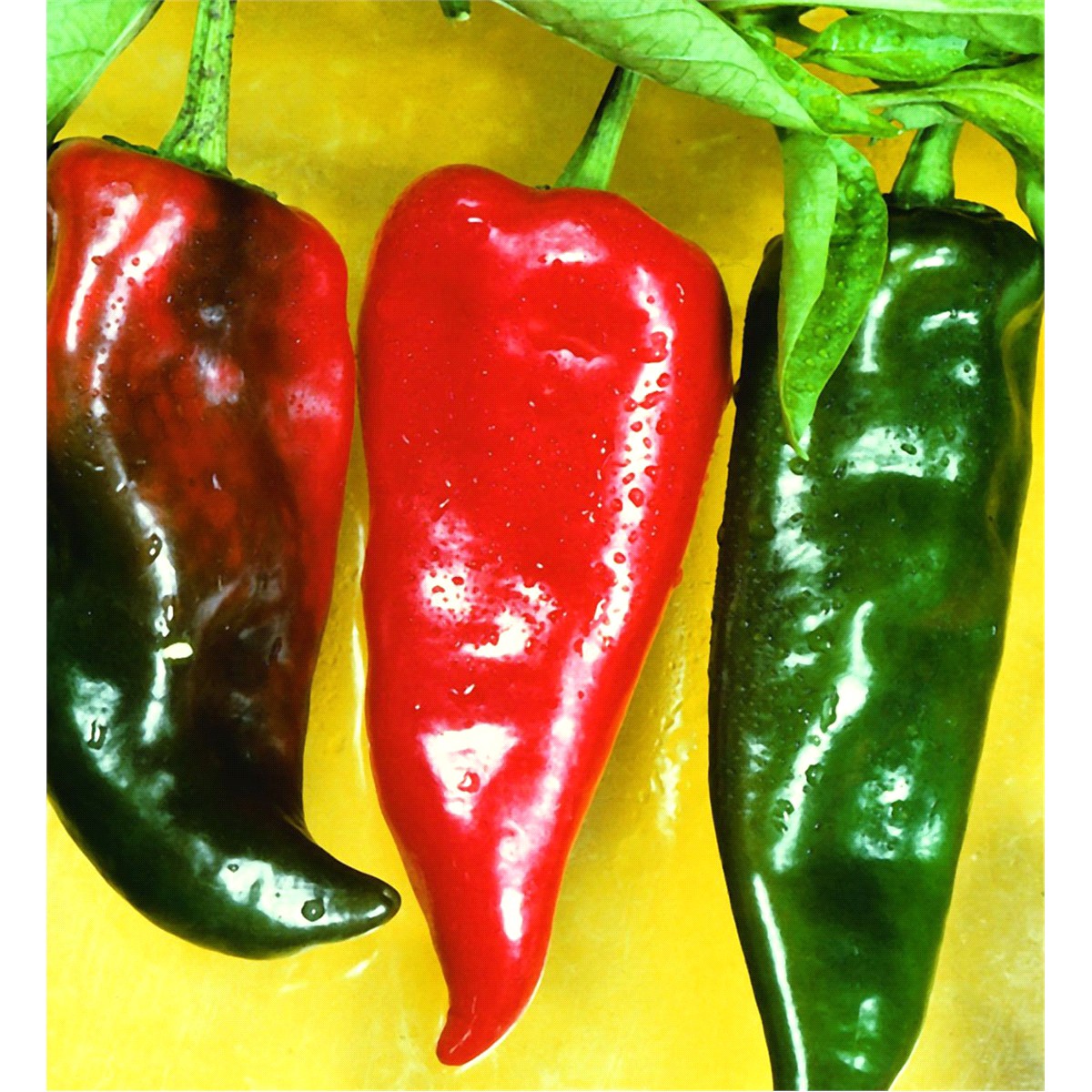 slide 5 of 9, Bonnie Plants  Pepper Anaheim, 19.3 oz