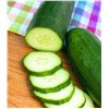 slide 7 of 9, Bonnie Plants  Cucumber Burpless Hybrid, 19.3 oz