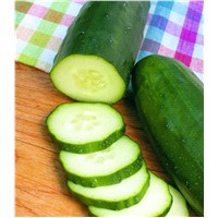 slide 4 of 9, Bonnie Plants  Cucumber Burpless Hybrid, 19.3 oz