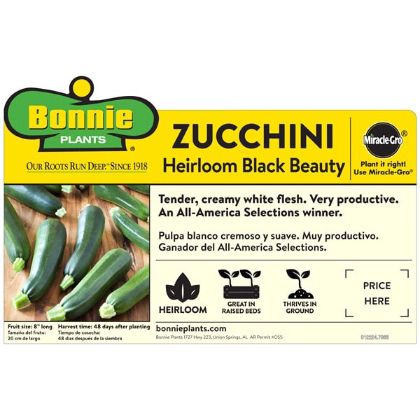 slide 3 of 5, Bonnie Plants Zucchini - Black Beauty, 19.3 oz