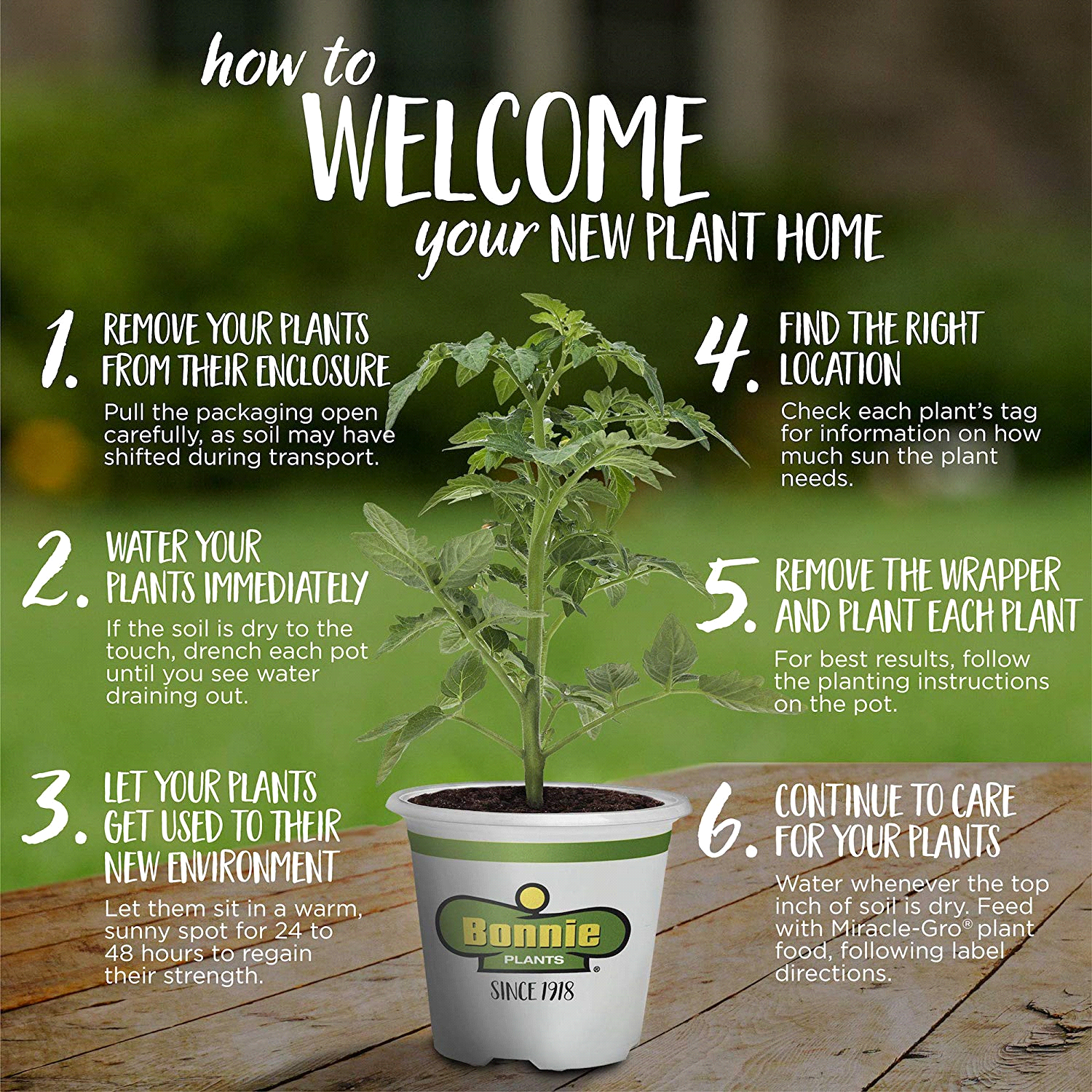 slide 2 of 2, Corn-Peaches & Cream, 1 ct