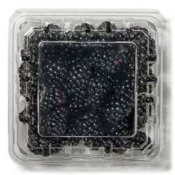 Blackberries, organic