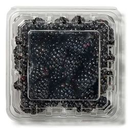 Organic Blackberries, 6 Oz