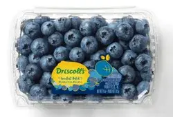 Sweetest Batch Blueberries