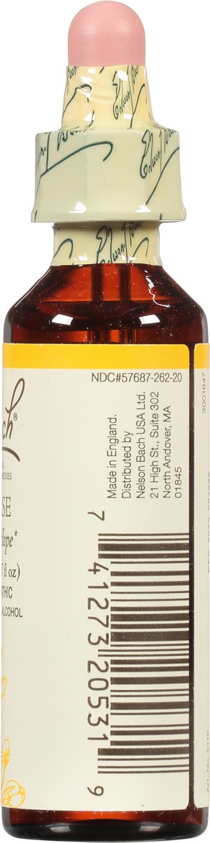 slide 3 of 11, Bach Original Flower Remedies Gorse 0.7 fl oz, 20 ml