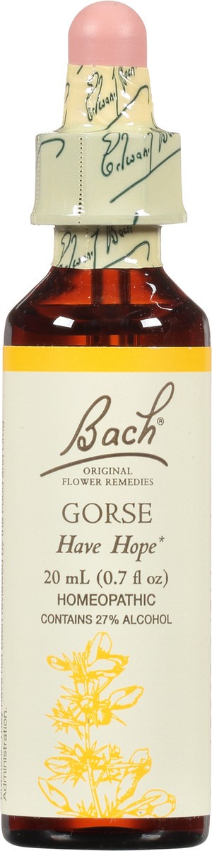 slide 8 of 11, Bach Original Flower Remedies Gorse 0.7 fl oz, 20 ml