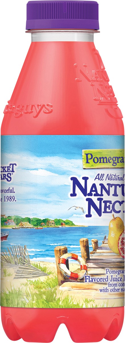 slide 4 of 13, Nantucket Nectars Pomegranate Pear, 15.9 fl oz bottle, 15.90 fl oz