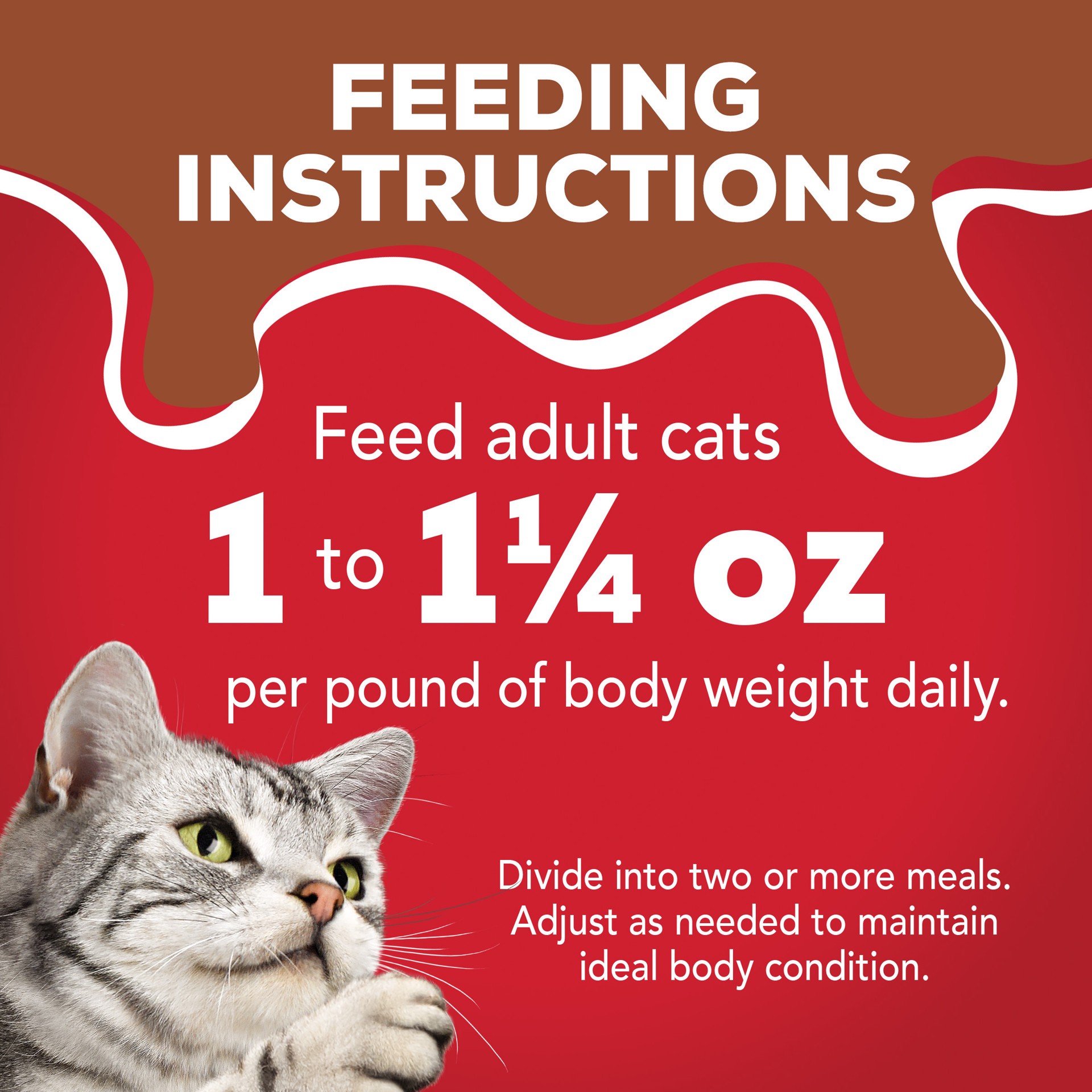 slide 4 of 7, Friskies Purina Friskies Extra Gravy Chunky Wet Cat Food with Beef In Savory Gravy - 5.5oz, 5.5 oz