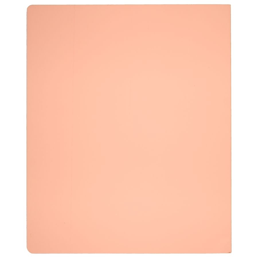 slide 5 of 5, At-A-Glance Workstyle Take Chances Notebook, Faint Ruled - Coral (Ws203-405), 80 ct; 8 1/2 in x 11 in