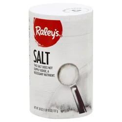 Raley's Salt, Regular 26 oz