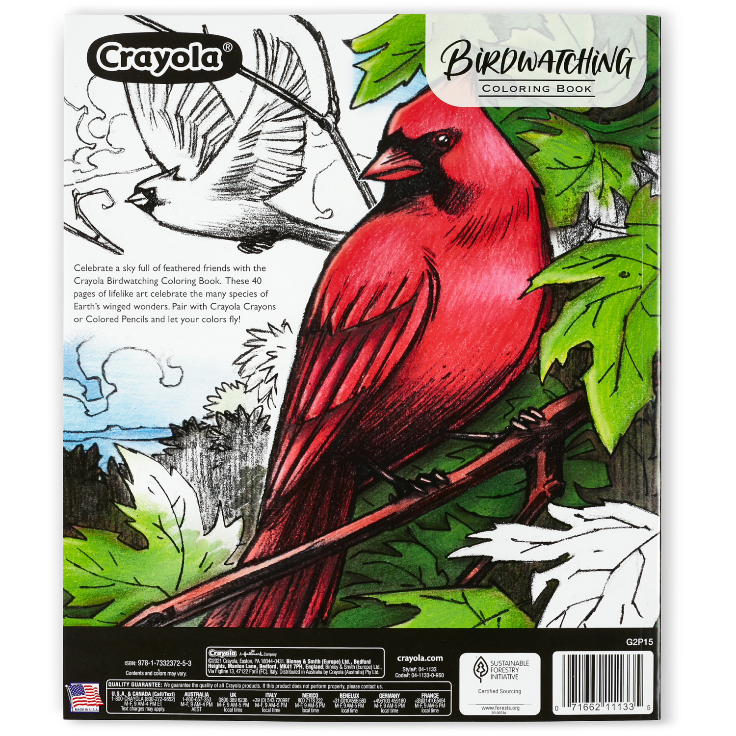 slide 2 of 2, Crayola Bird Watching Coloring Book, 1 ct