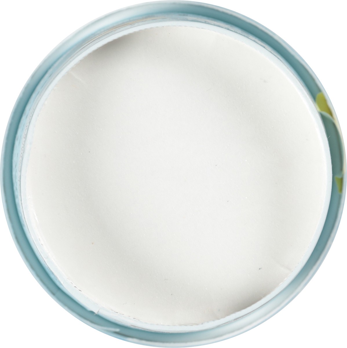 slide 13 of 13, Frönen Dairy Free Madagascar Vanilla Frozen Dessert 1 pt, 1 ct