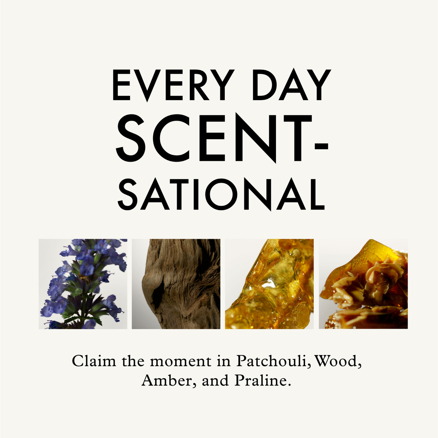 slide 6 of 8, John Frieda Dream Curls Curl Reviver Mousse, Anti Frizz Hair Mousse for Curls, 7.2 oz, 7.2 oz