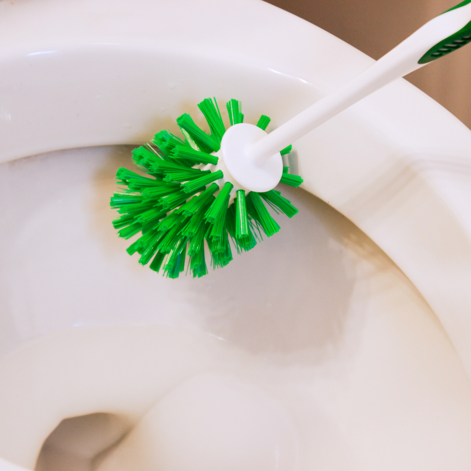 slide 2 of 4, Libman Designer Bowl Brush and Caddy 1 ea, 1 ct