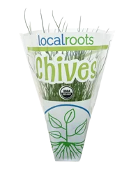 Local Roots Potted Chives