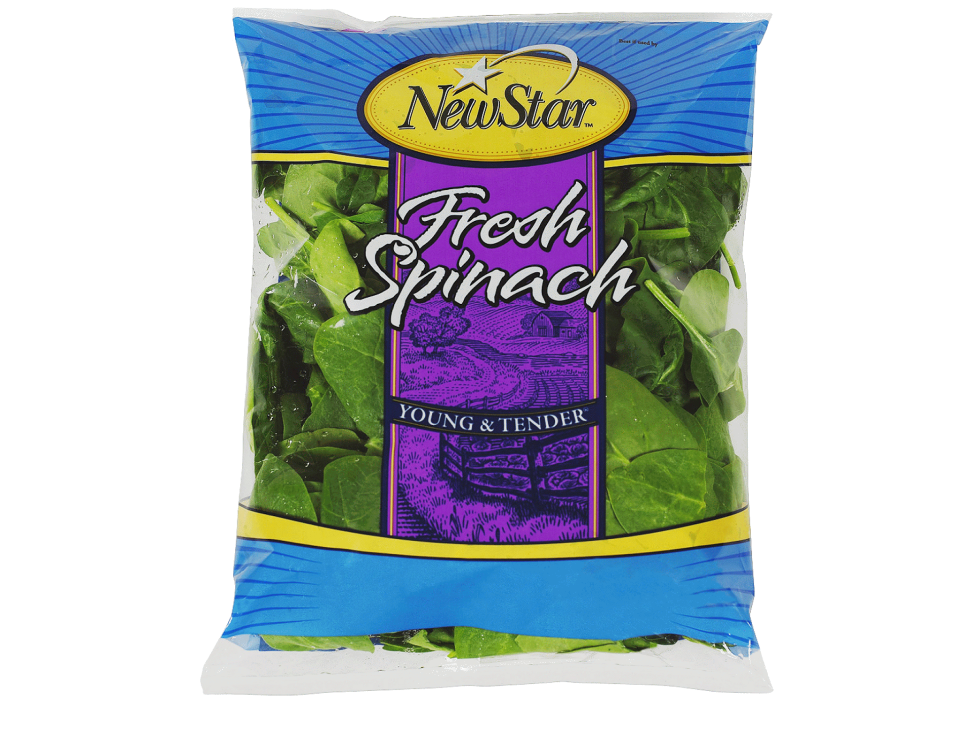 slide 1 of 1, New Star Fresh Flat Leaf Spinach, 10 oz