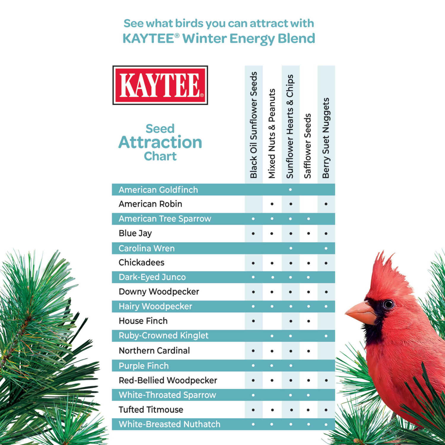 slide 4 of 4, Kaytee Winter Energy Blend 8 lbs, 1 ct