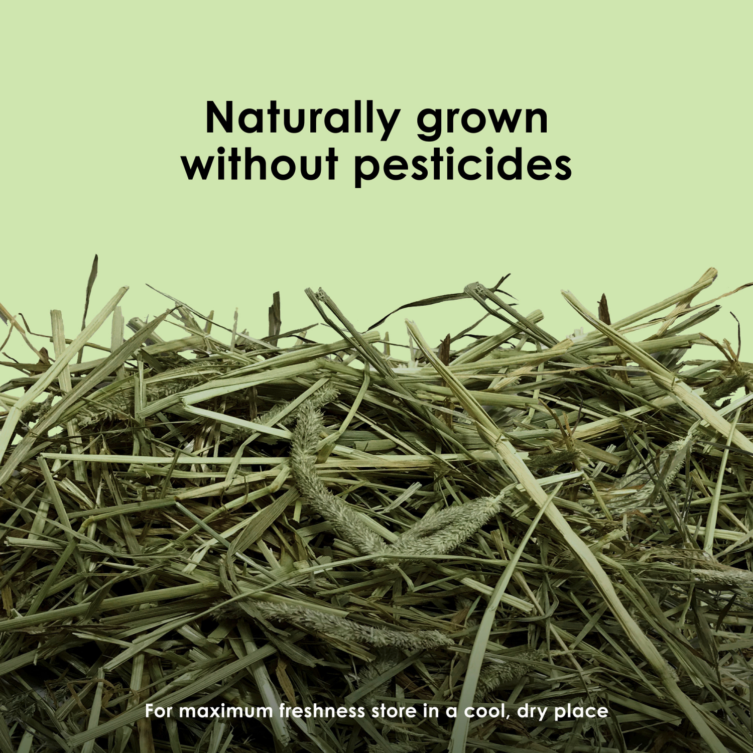 slide 3 of 5, Kaytee All Natural Timothy Hay, 24 oz, 24 oz