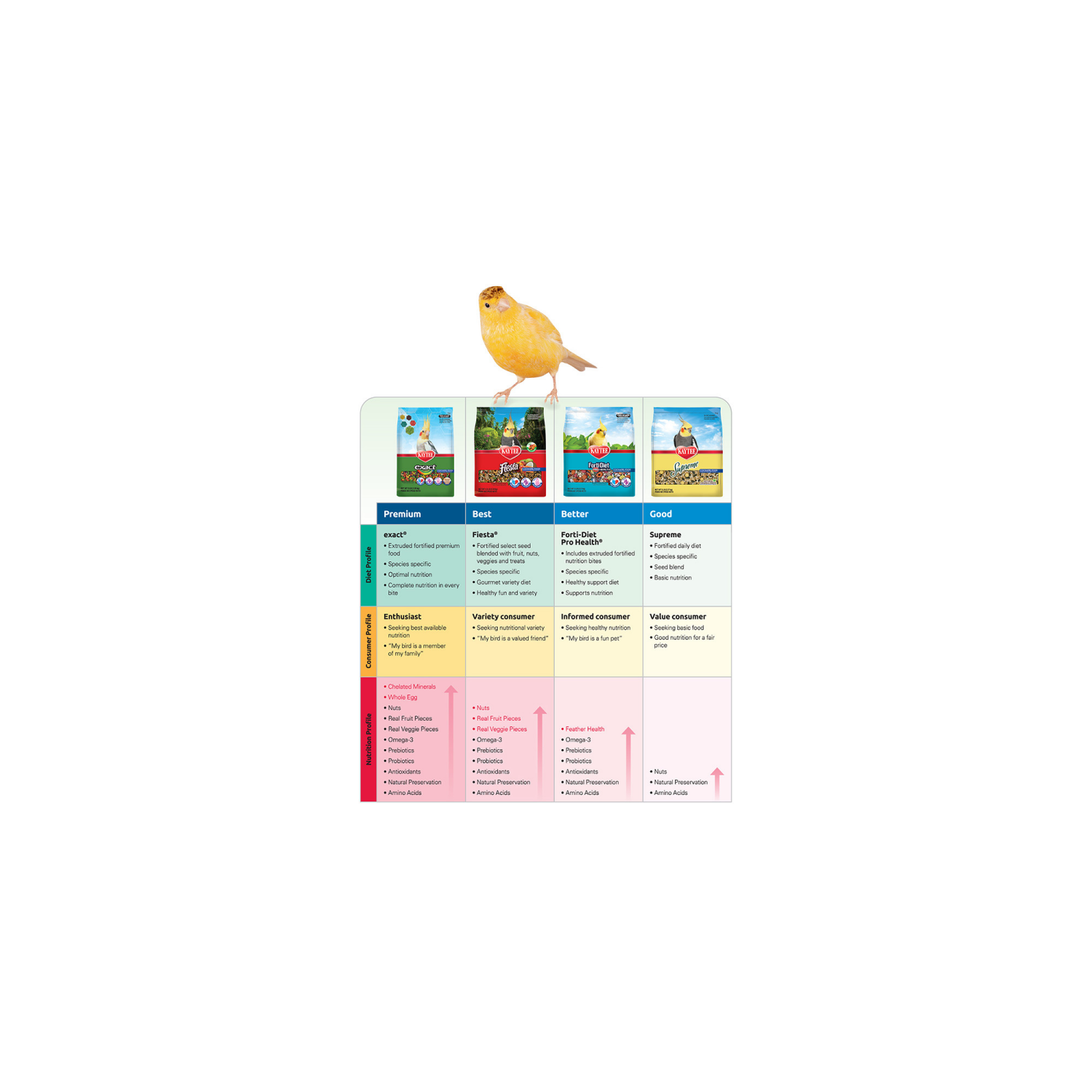 slide 3 of 3, Kaytee Fiesta Parakeet Food 2 lb, 2 lb
