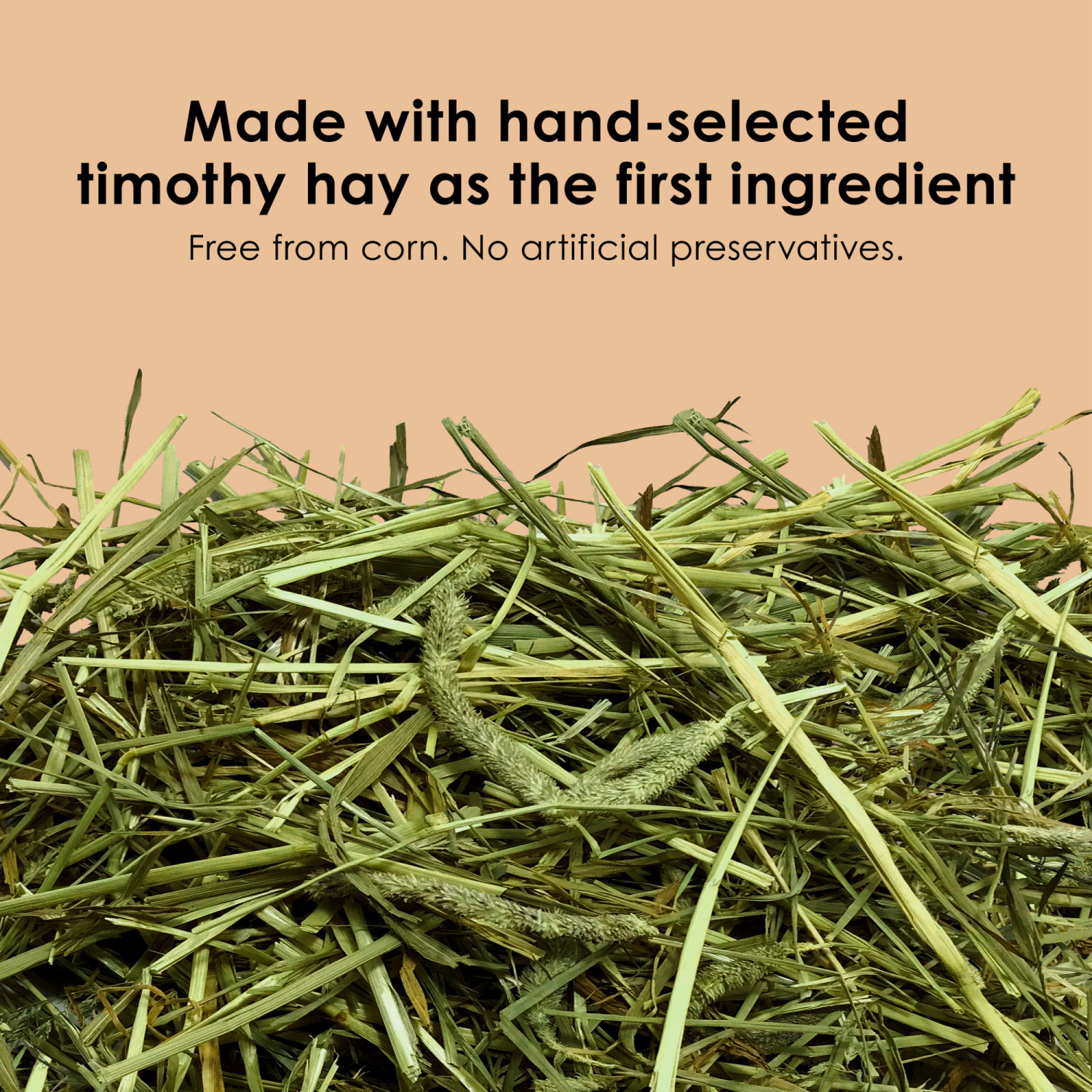 slide 4 of 4, Kaytee Timothy Complete Guinea Pig Pet Food, 5 Pounds, 5 lb