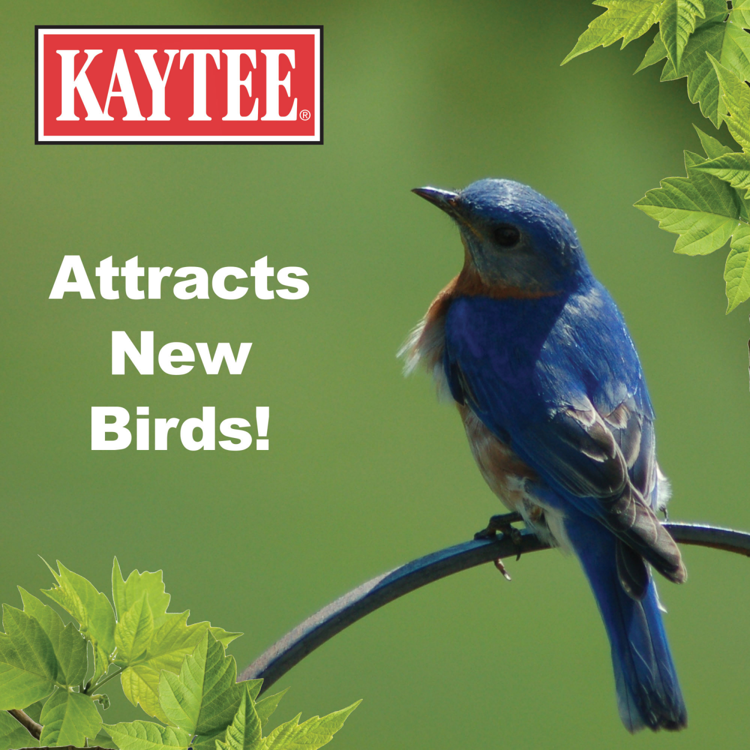 slide 3 of 4, Kaytee Mealworm Food Pouch 7oz, 7 oz