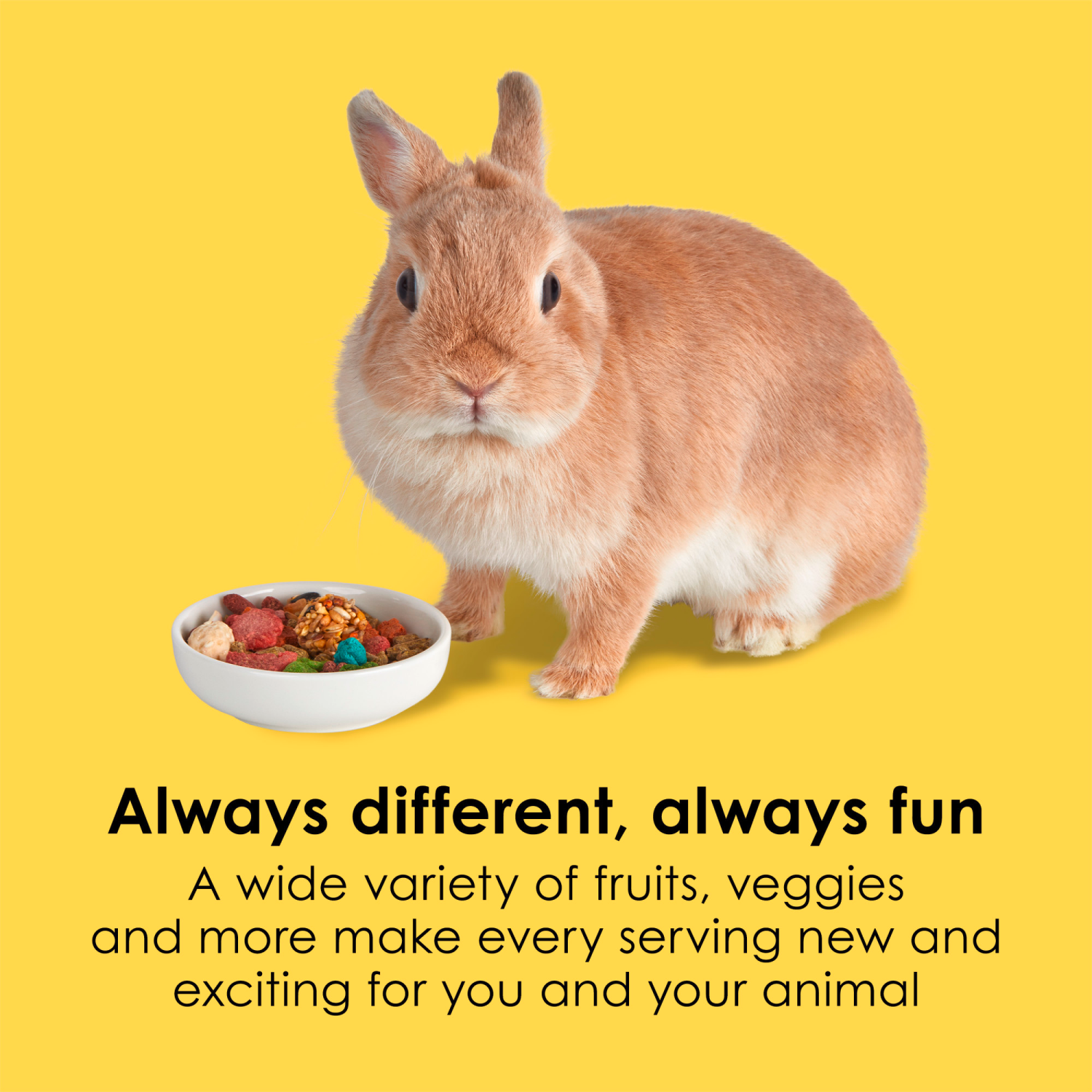 slide 4 of 5, Kaytee Fiesta Rabbit Food, 3.5 lb, 1 ct