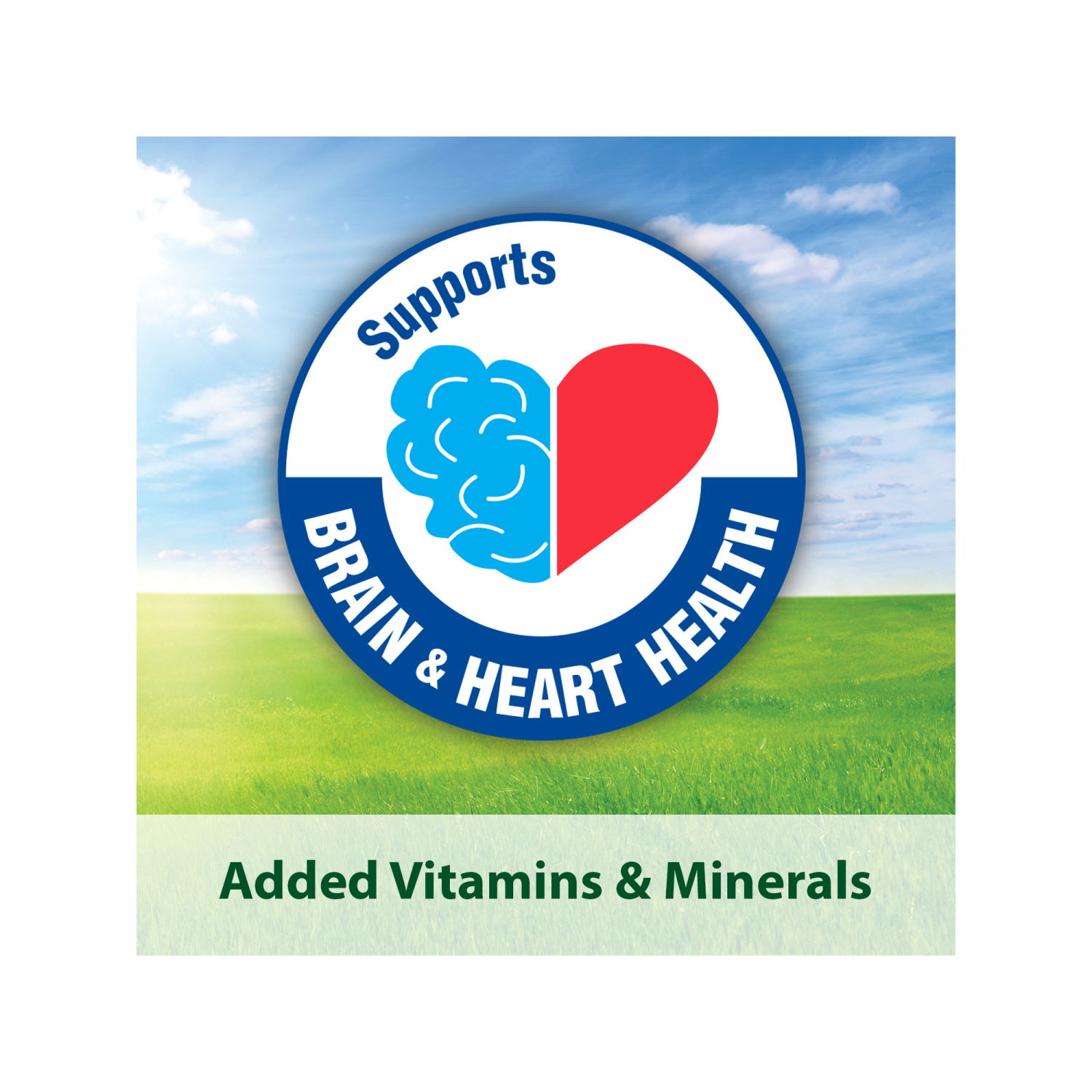 slide 3 of 5, Kaytee Forti-Diet Pro Health Parakeet Food, 2 lb, 1 ct