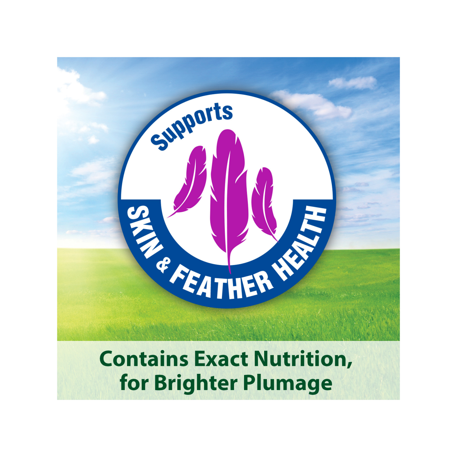 slide 4 of 5, Kaytee Forti-Diet Pro Health Parakeet Food, 2 lb, 1 ct