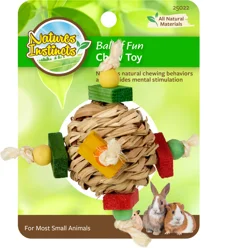 Natures Instincts Ball Of Fun Chew Toy
