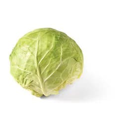 Organic - Cabbage - Green